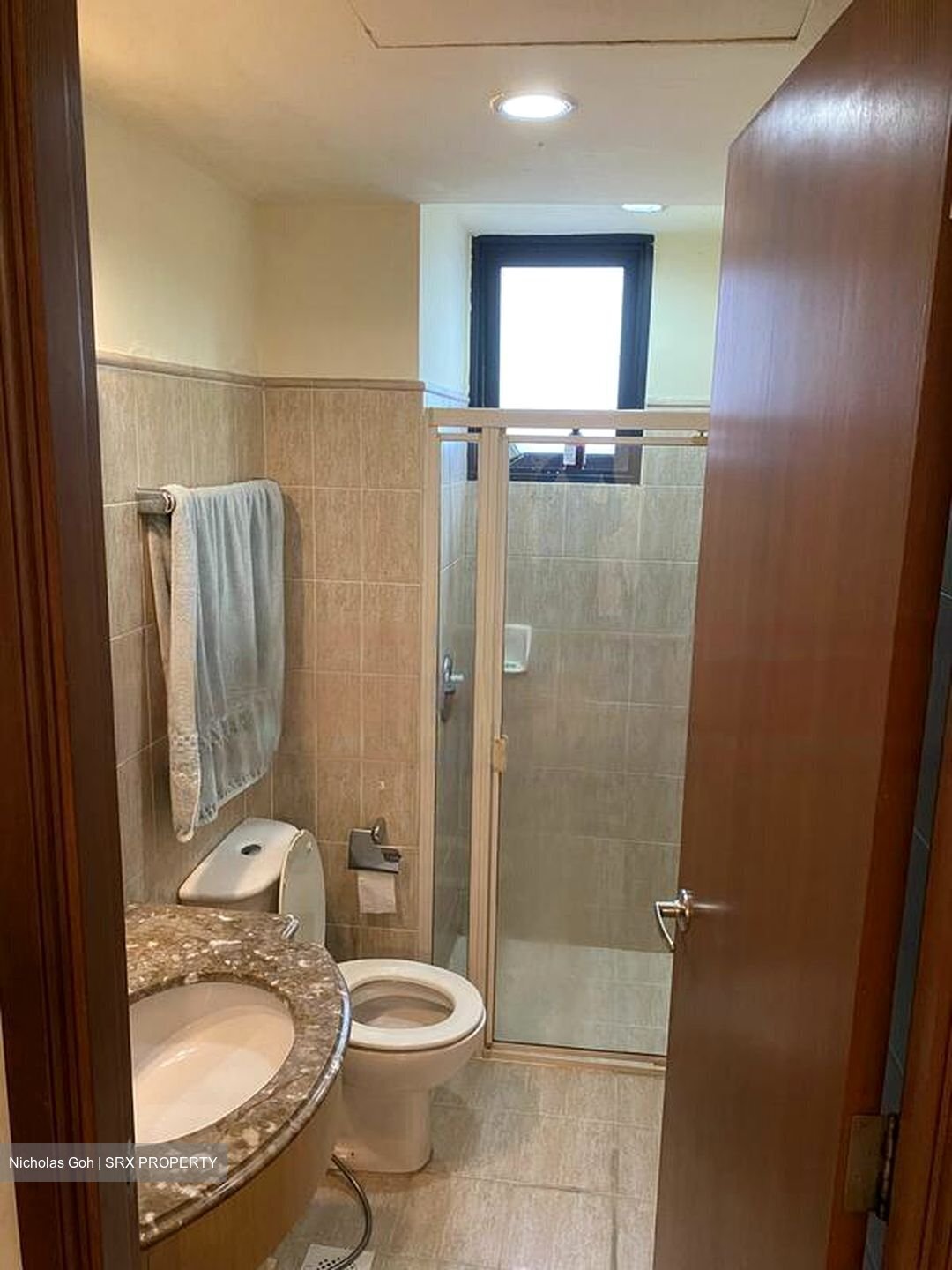 Tanglin View (D3), Condominium #473863751